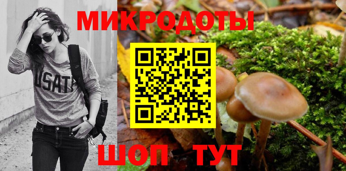 Псилоцибиновые грибы Psilocybe  Вход с VPN  Коммунар  Галлюциногенные грибы мицелий 